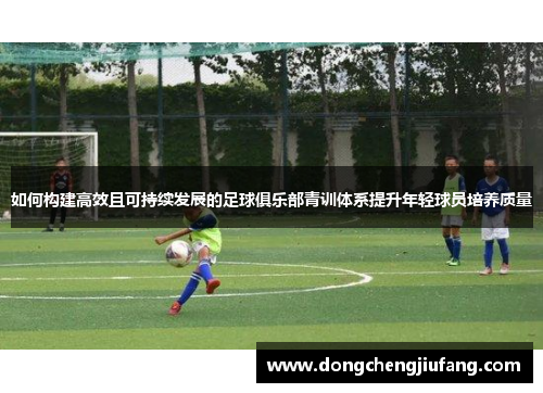 如何构建高效且可持续发展的足球俱乐部青训体系提升年轻球员培养质量